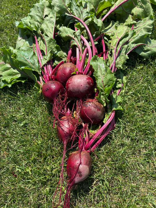 Beets